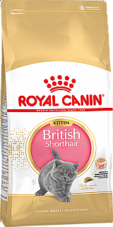Royal Canin British Shorthair Kitten