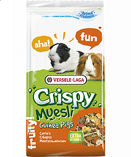Crispy Guinea pig