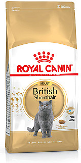 Royal Canin British Shorthair Adult