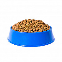 Dry Food