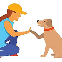 Behaviour & Training