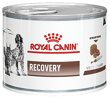 Royal Canin Recovery