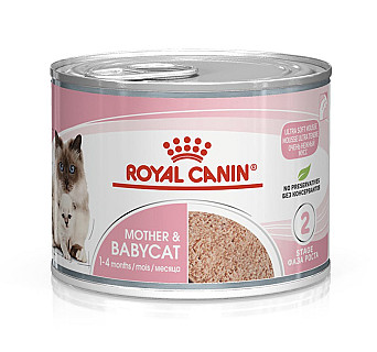 Royal canin Mother & Babycat
