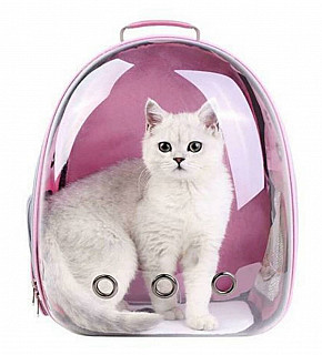 BTTNW Pet Carriage Bag