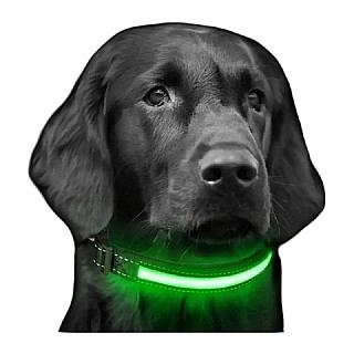 Pet LED Collar
