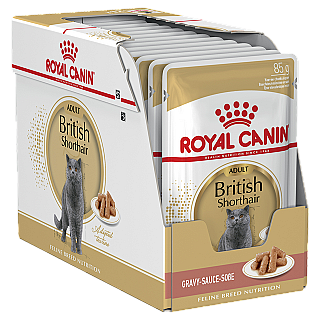 Royal Canin British Shorthair