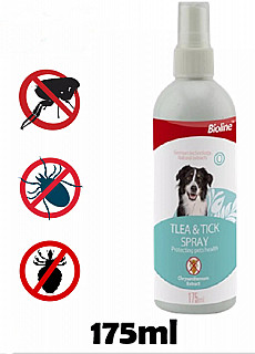 سپڕای دژە ئەسپێ