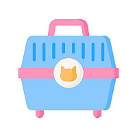 Travel & Transportation