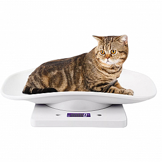 ئەمێری کێش کردنی ئاژەڵ