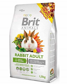 Rabbit Food Adult