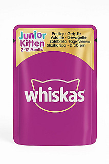 Whiskas جونیر/کیتن دواجن