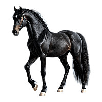 All