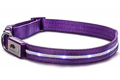 Safety LED Dog Leash