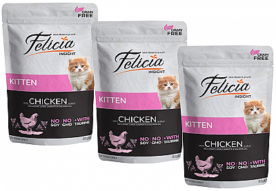 Felicia Kitten Chicken