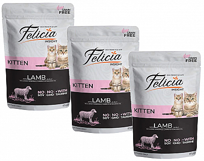 Felicia Kitten Lamb